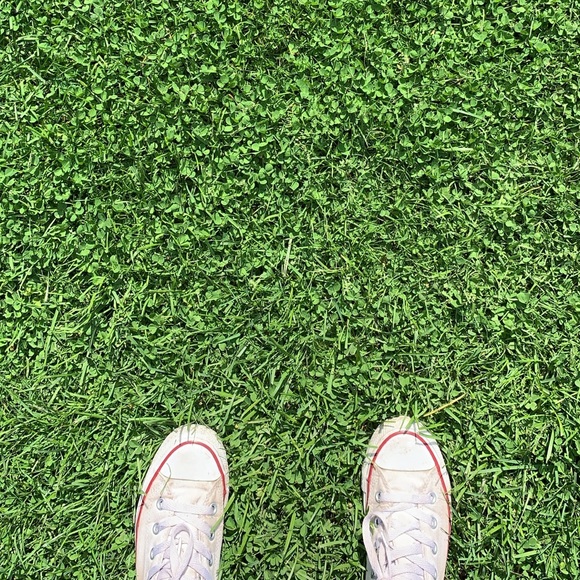 Meet your Posher, Charlotte - Picture 1 of 1